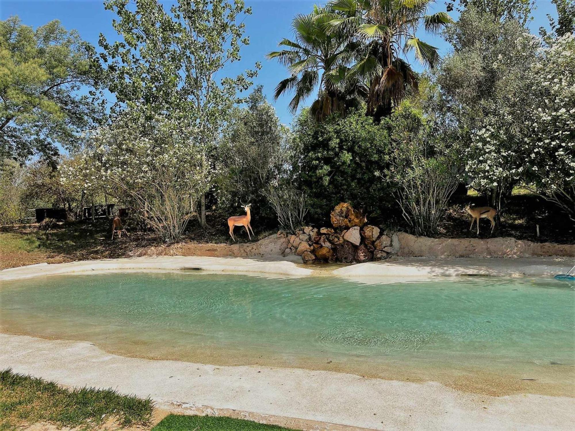 Parque Da Mina Hotel Мончик Екстериор снимка